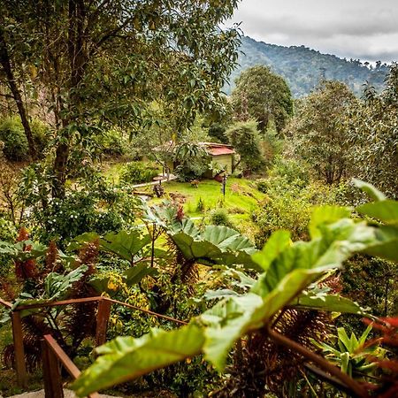 Tres de Junio Paraiso Quetzal Lodge מראה חיצוני תמונה
