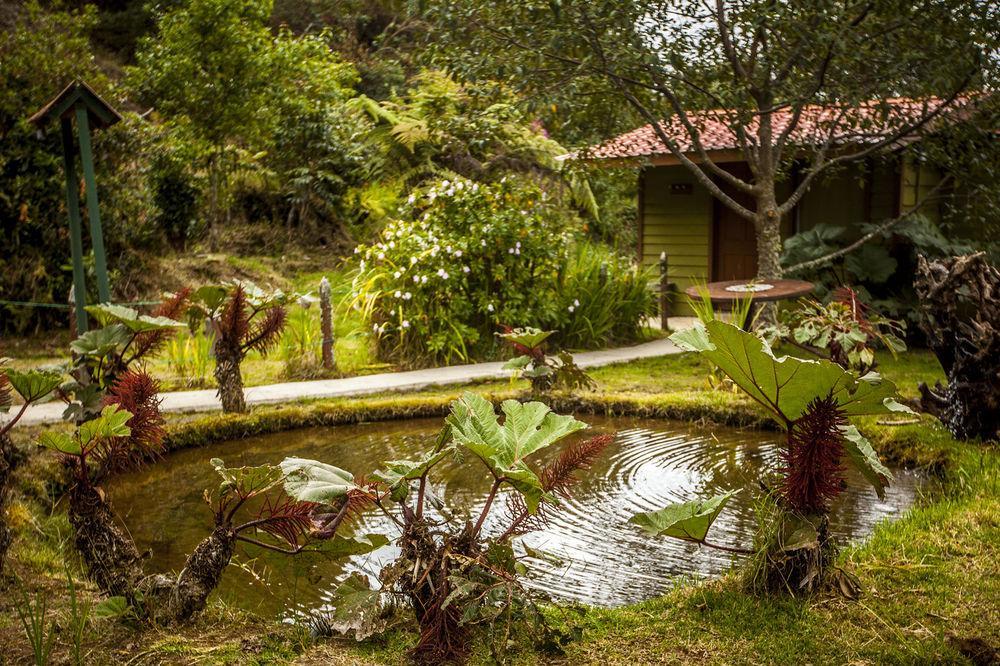Tres de Junio Paraiso Quetzal Lodge מראה חיצוני תמונה