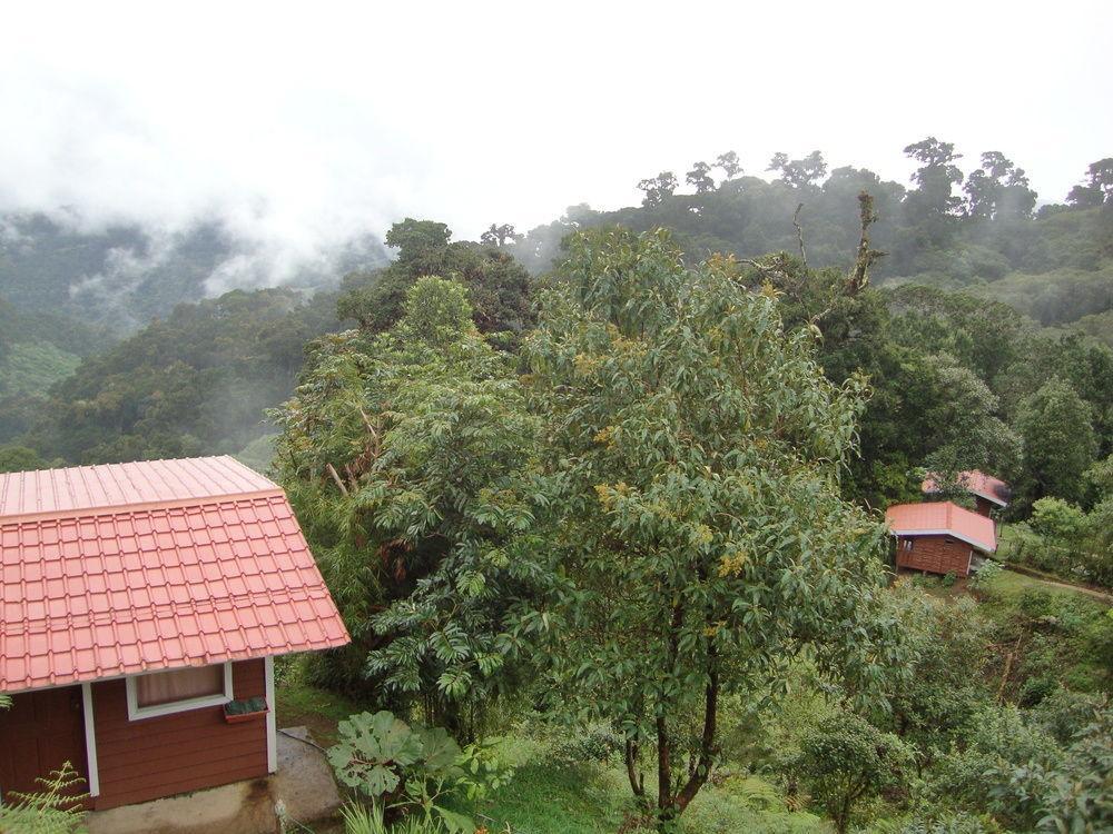 Tres de Junio Paraiso Quetzal Lodge מראה חיצוני תמונה