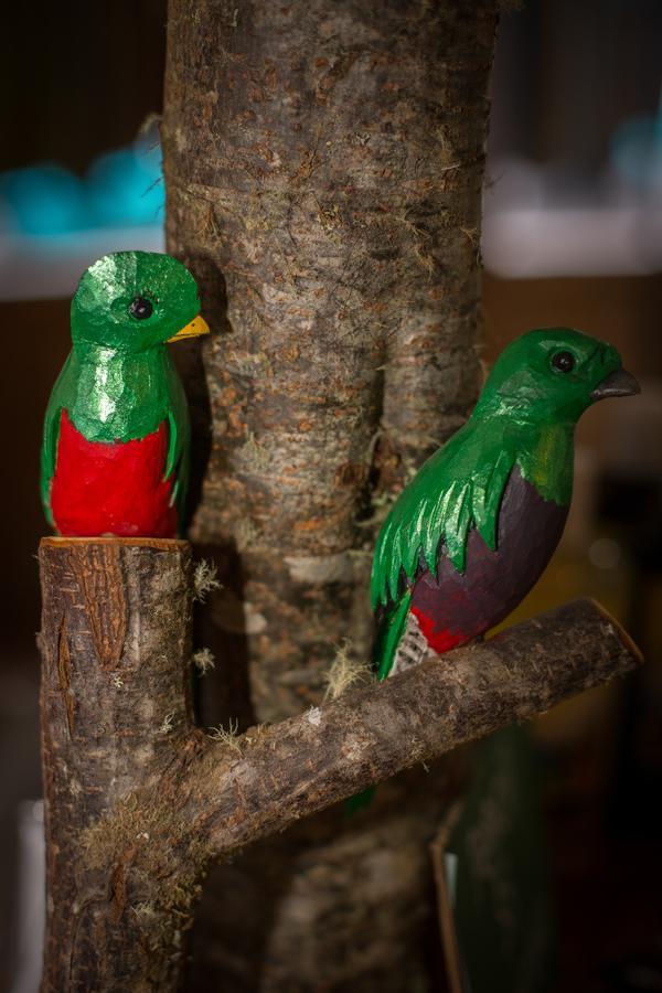Tres de Junio Paraiso Quetzal Lodge מראה חיצוני תמונה