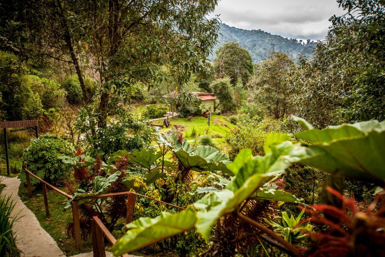Tres de Junio Paraiso Quetzal Lodge מראה חיצוני תמונה